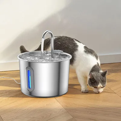 UAMLY Fontaine à eau pour chat en acier inoxydable