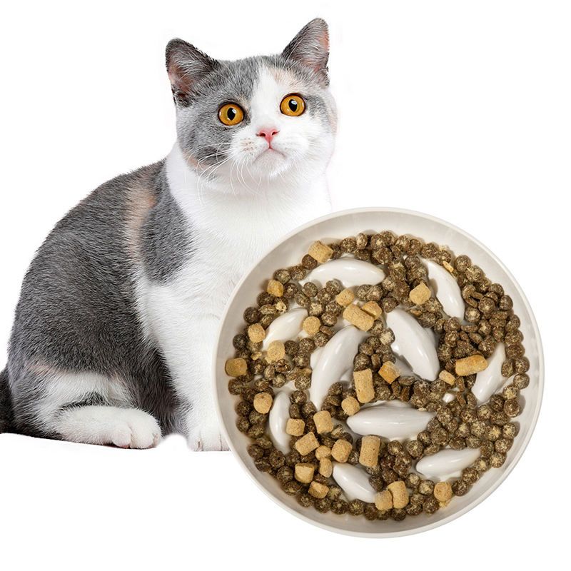 UAMLY Gamelle à alimentation lente pour chat