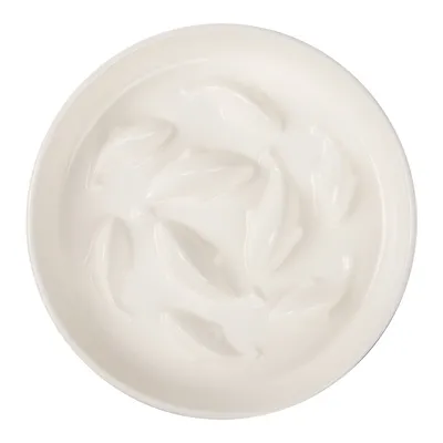 UAMLY Gamelle à alimentation lente pour chat