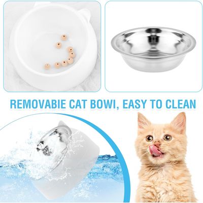 UAMLY Gamelle Inclinée pour Chat en Acier Inoxydable