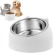 UAMLY Gamelle Inclinée pour Chat en Acier Inoxydable