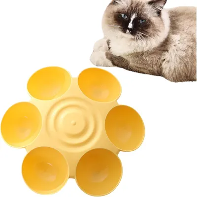 UAMLY Gamelles de nourriture avec 6 gamelles pour chat