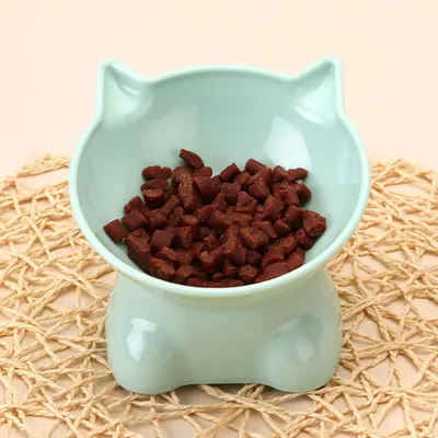 UAMLY Gamelle surélevée pour chat