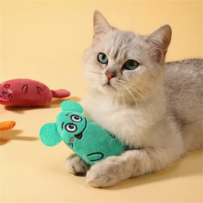 Lot de 2 jouets pour chat Pet Planet (gris et vert)