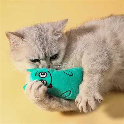 Lot de 2 jouets pour chat Pet Planet (gris et vert)