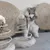 UAMLY Jouet interactif pour chat, souris en peluche d'exercice