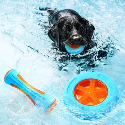 IntiMeg Jouets flottants pour animaux de compagnie