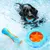 IntiMeg Jouets flottants pour animaux de compagnie