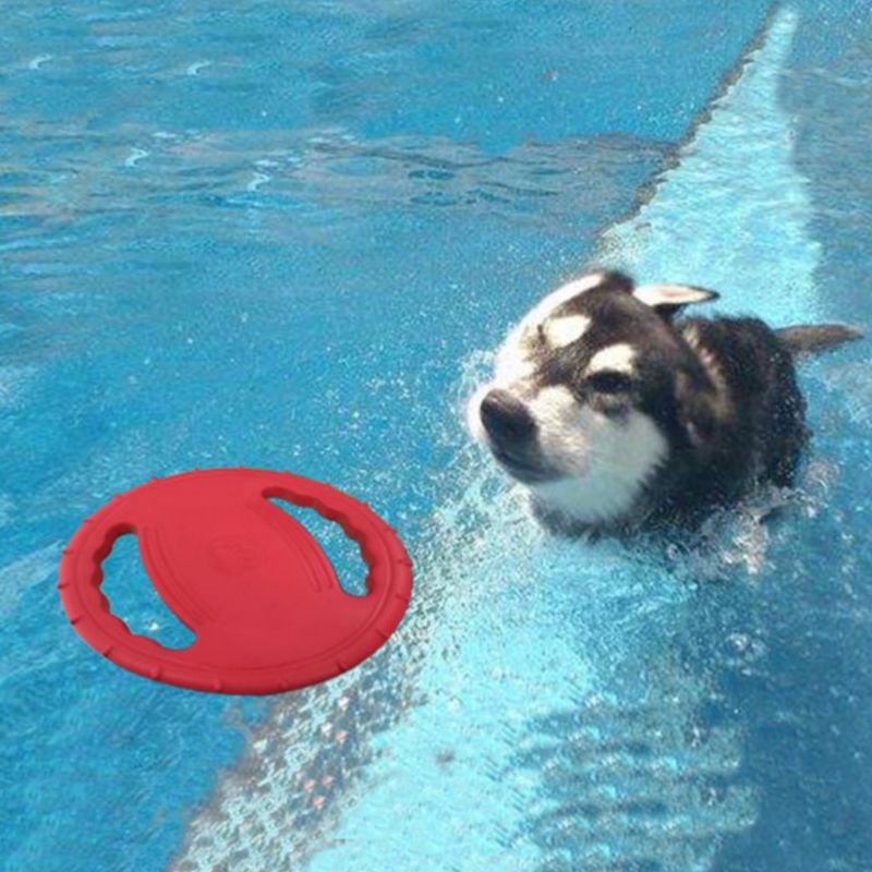 FurryFusion Jouet pour animaux de compagnie EVA Frisbee