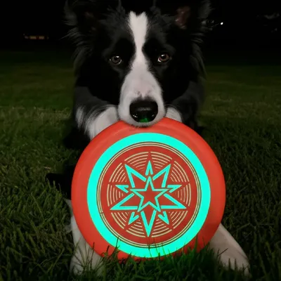 FurryFusion Disque volant fluorescent pour chien