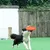 FurryFusion Disque volant en caoutchouc pour chien