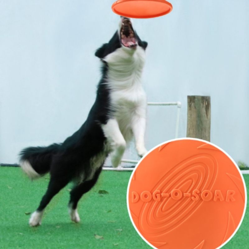 FurryFusion Disque volant en caoutchouc pour chien