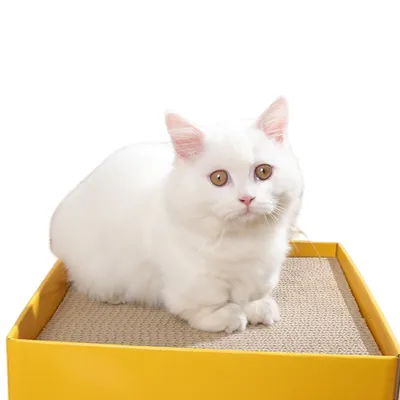 FurryFusion Griffeuse pour chat en forme de cube