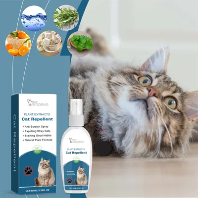 FurryFusion Spray dissuasif pour chat 100ml