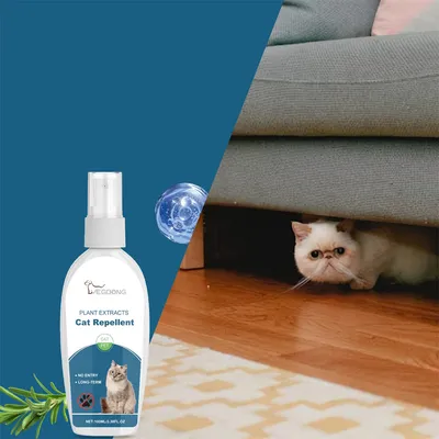 FurryFusion Spray dissuasif pour chat 100ml