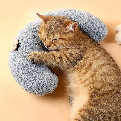 FurryFusion Almohada relajante para gatos