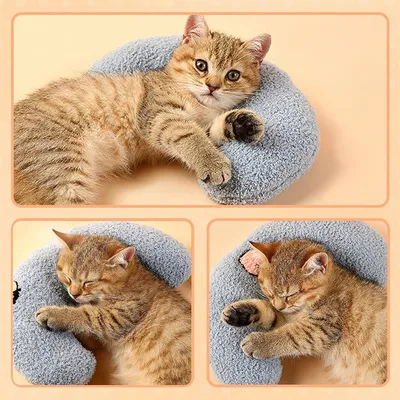 FurryFusion Cat Calming Pillow