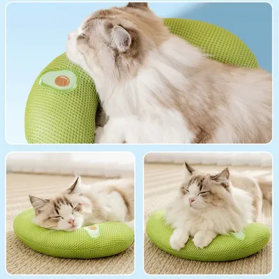 FurryFusion Oreiller en forme d'avocat pour chats et chiens