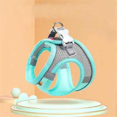 Pet Planet Laisse pour chaton Type de sangle