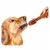 FurryFusion Os de grignotage pour chien en forme de brosse à dents