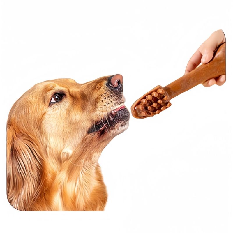 FurryFusion Os de grignotage pour chien en forme de brosse à dents