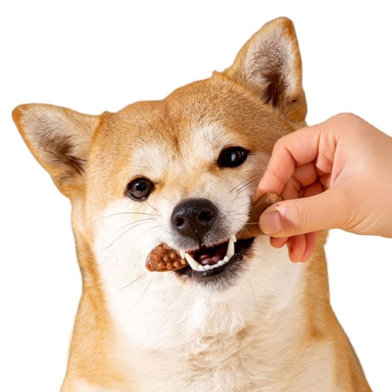 FurryFusion Os de grignotage pour chien en forme de brosse à dents
