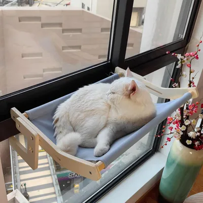 UAMLY Hamac de chevet pour chat