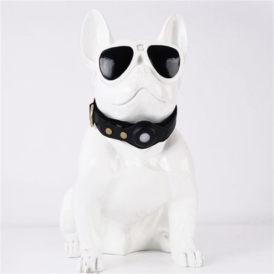 Pet Planet Collier de Chien Compatible avec Airtag