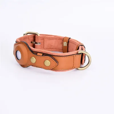 Pet Planet Collier de Chien Compatible avec Airtag