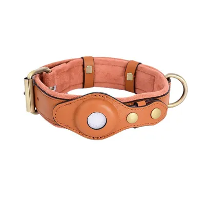 Pet Planet Collier de Chien Compatible avec Airtag