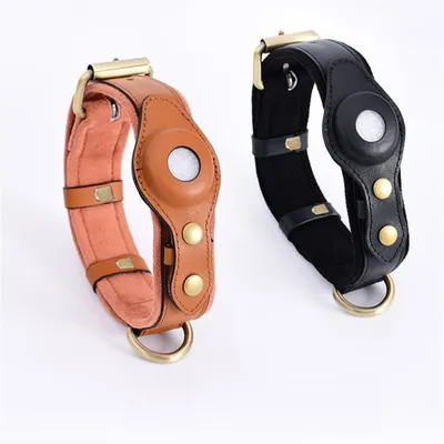 Pet Planet Collier de Chien Compatible avec Airtag