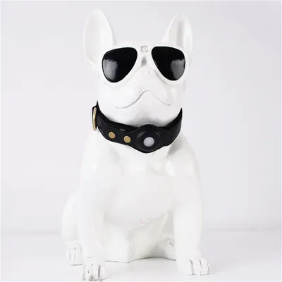 Pet Planet Collier de Chien Compatible avec Airtag