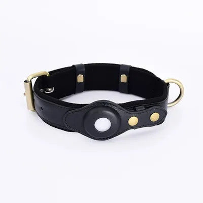Pet Planet Collier de Chien Compatible avec Airtag