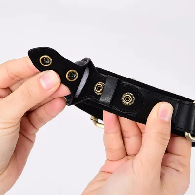 Pet Planet Collier de Chien Compatible avec Airtag