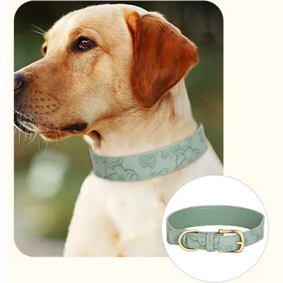 FurryFusion Collier en cuir gravé pour gros chiens