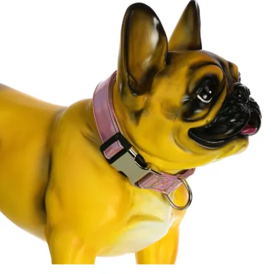 FurryFusion Collier pour chien rose ajustable