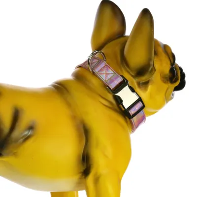 FurryFusion Collier pour chien rose ajustable