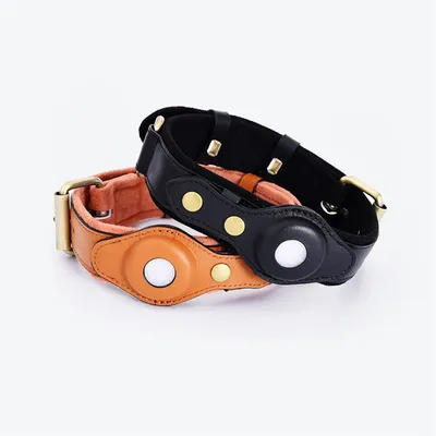 Pet Planet Collier de Chien Compatible avec Airtag