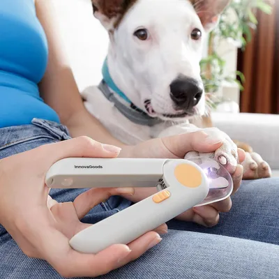 Coupe griffe avec LED intégré pour chiens et chats