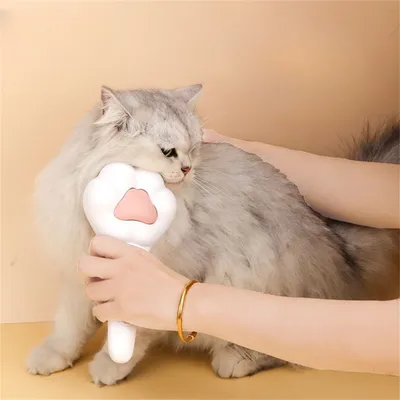 FurryFusion Peigne en forme de griffe de chat