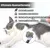 UAMLY Brosse pour animaux de compagnie