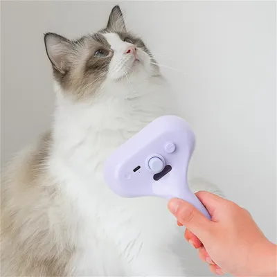 FurryFusion Peigne à spray pour chats