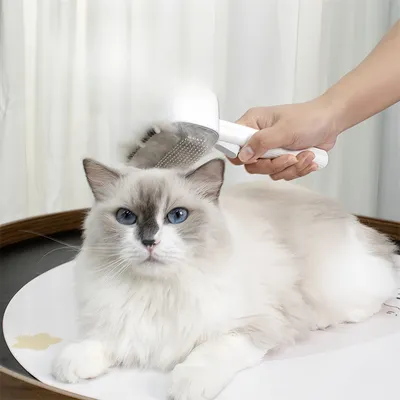 FurryFusion Peigne pour chats et chiens