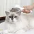 FurryFusion Peigne pour chats et chiens