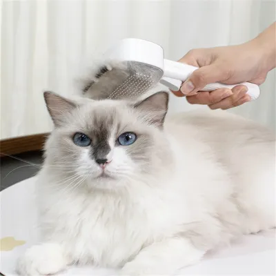 FurryFusion Peigne pour chats et chiens