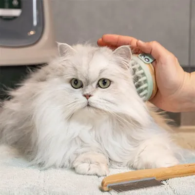 FurryFusion Brosse de massage pour chat