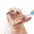FurryFusion Liquide pour nettoyer les oreilles des animaux de compagnie