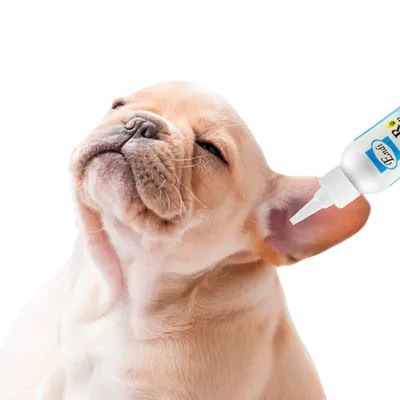 FurryFusion Liquide pour nettoyer les oreilles des animaux de compagnie