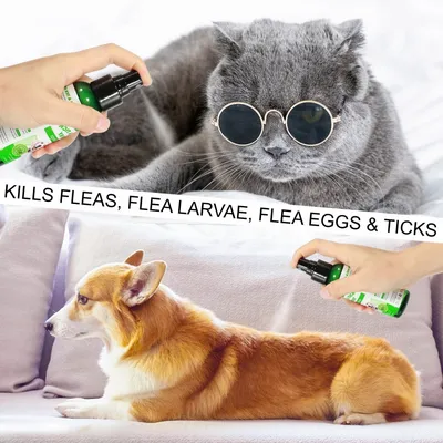 FurryFusion Spray antiparasitaire pour chiens et chats