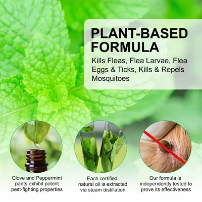 FurryFusion Spray antiparasitaire pour chiens et chats